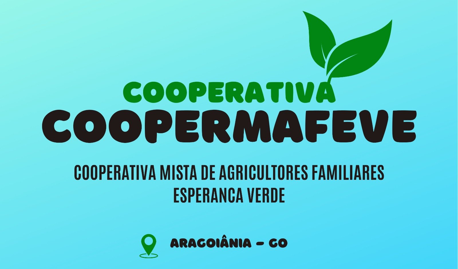 Imagem do WhatsApp de 2024-02-15 à(s) 00.33.49_ebd9dd73