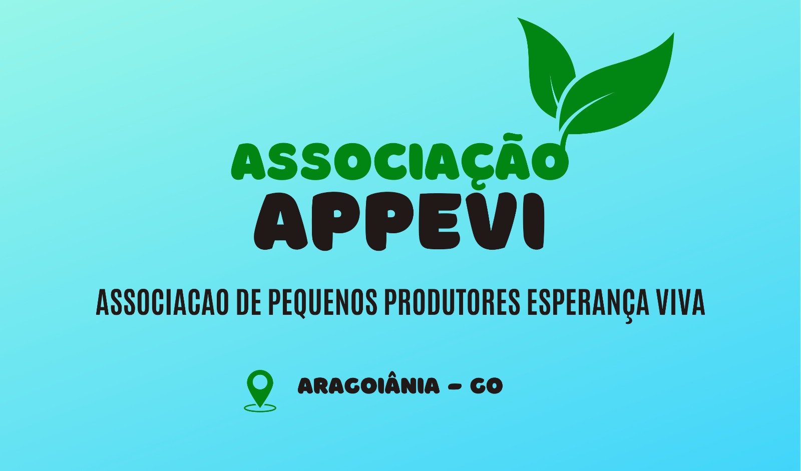 Imagem do WhatsApp de 2024-02-15 à(s) 00.33.49_eff03bc1